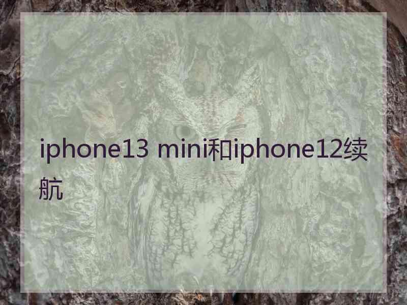 iphone13 mini和iphone12续航