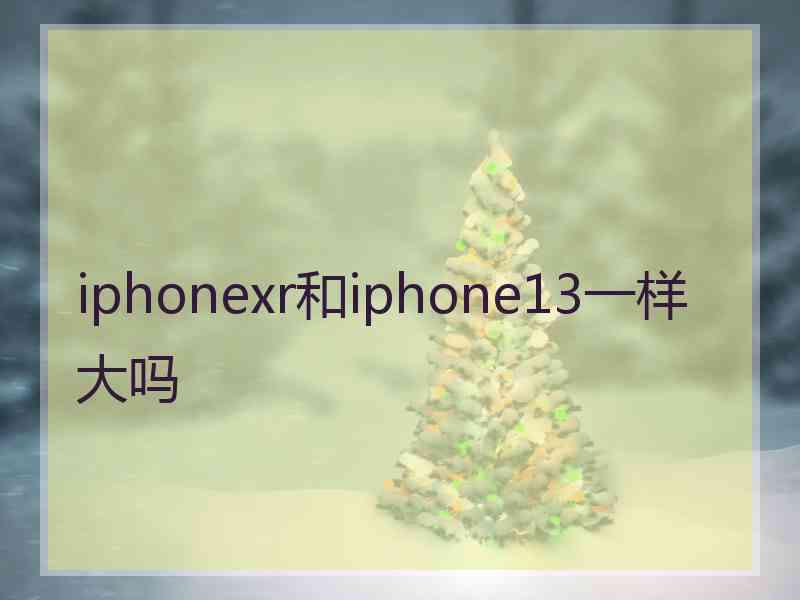 iphonexr和iphone13一样大吗