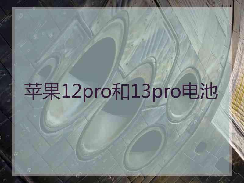 苹果12pro和13pro电池