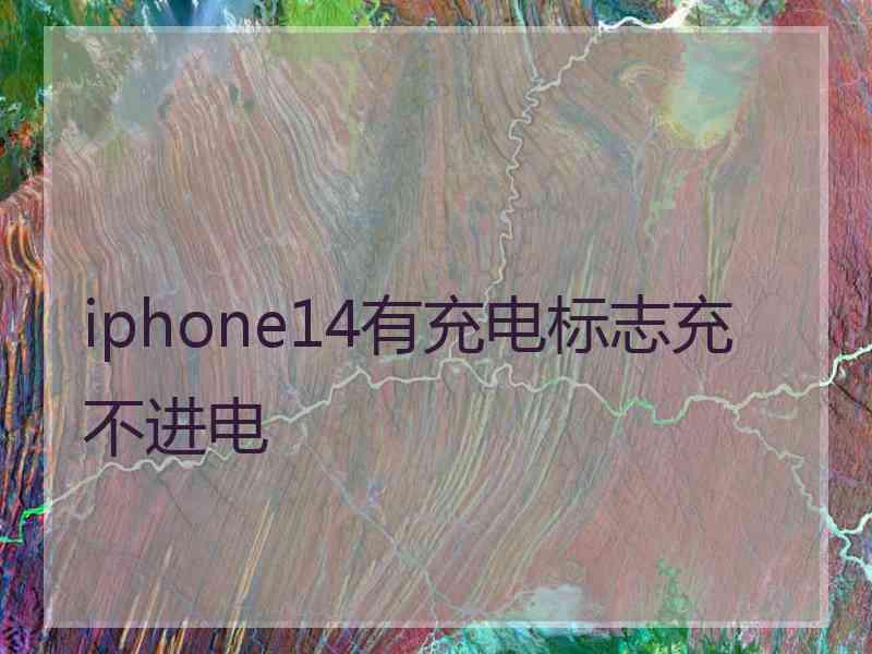 iphone14有充电标志充不进电