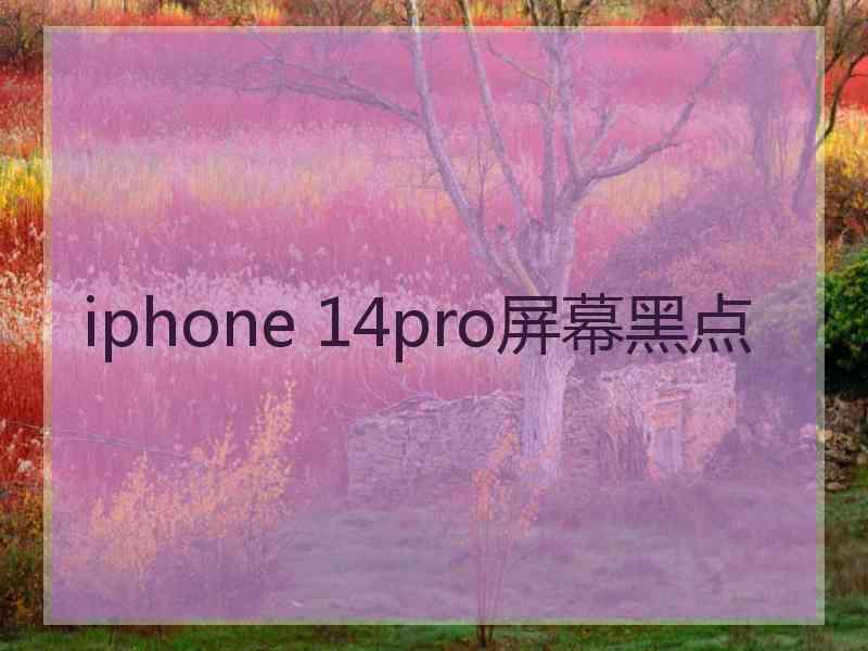 iphone 14pro屏幕黑点