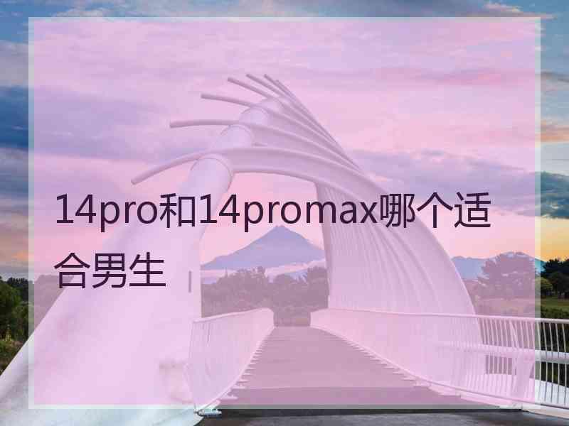 14pro和14promax哪个适合男生