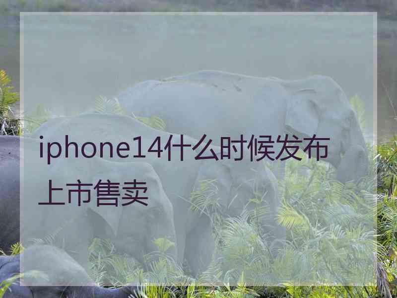 iphone14什么时候发布上市售卖