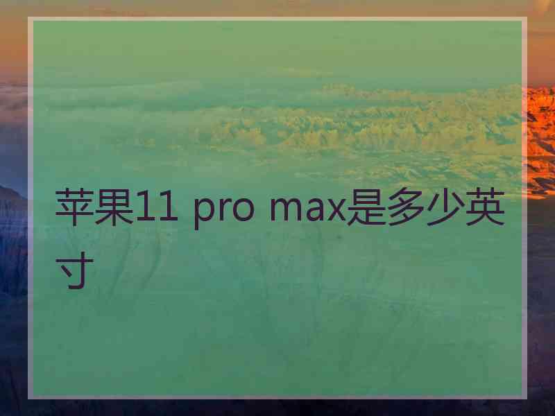 苹果11 pro max是多少英寸