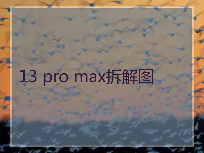 13 pro max拆解图