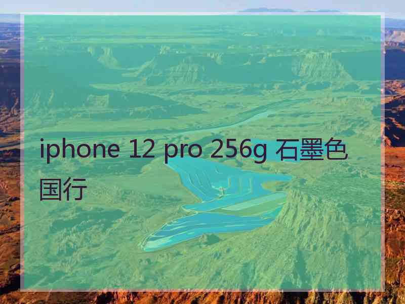 iphone 12 pro 256g 石墨色国行