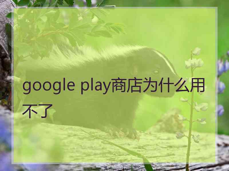 google play商店为什么用不了