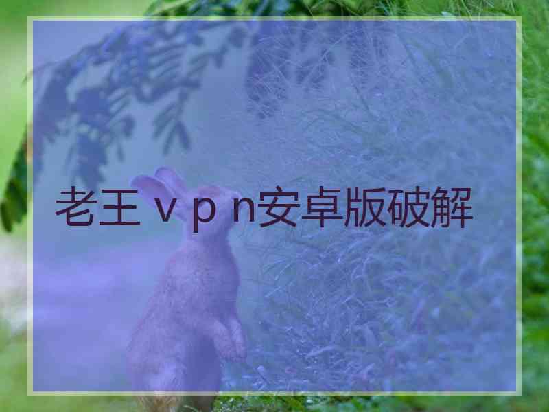 老王 v p n安卓版破解