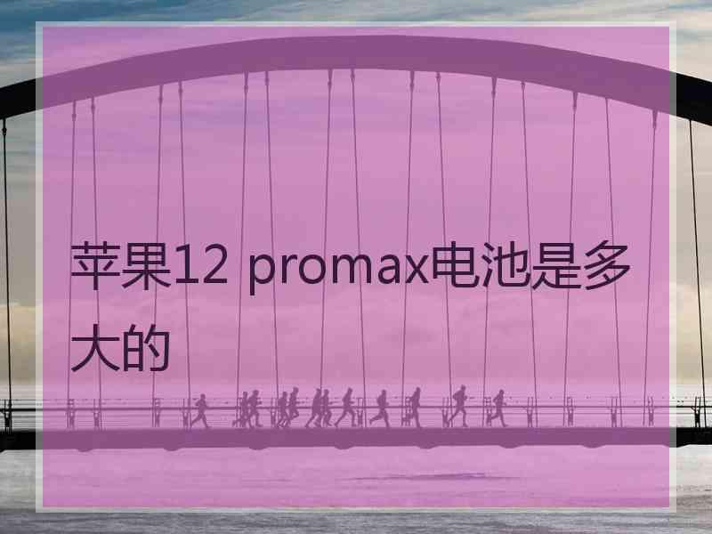 苹果12 promax电池是多大的