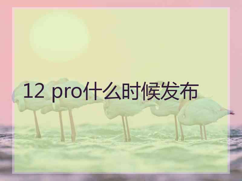 12 pro什么时候发布