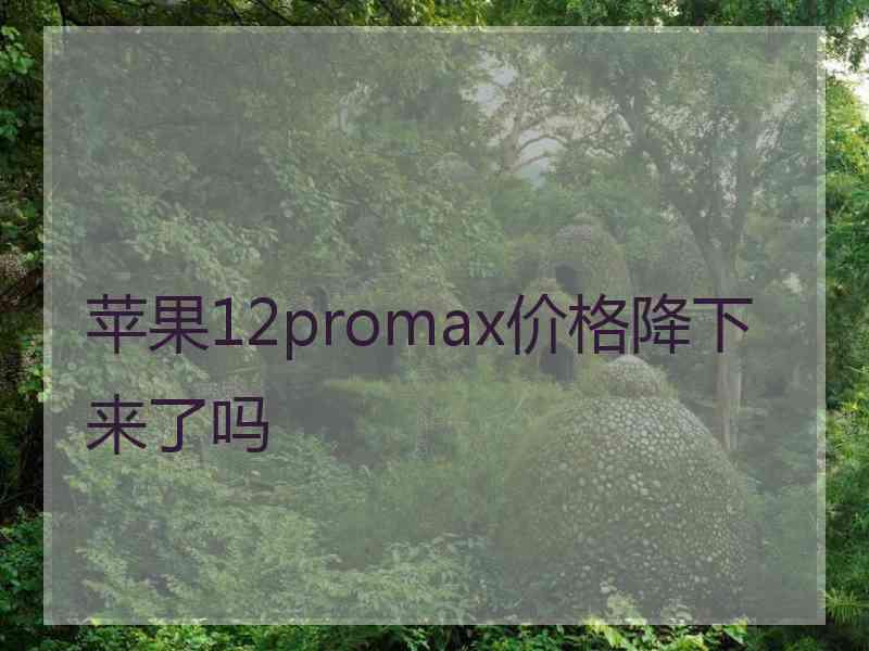 苹果12promax价格降下来了吗