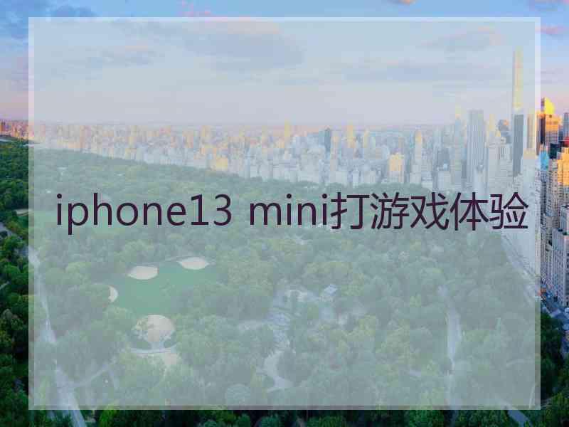 iphone13 mini打游戏体验