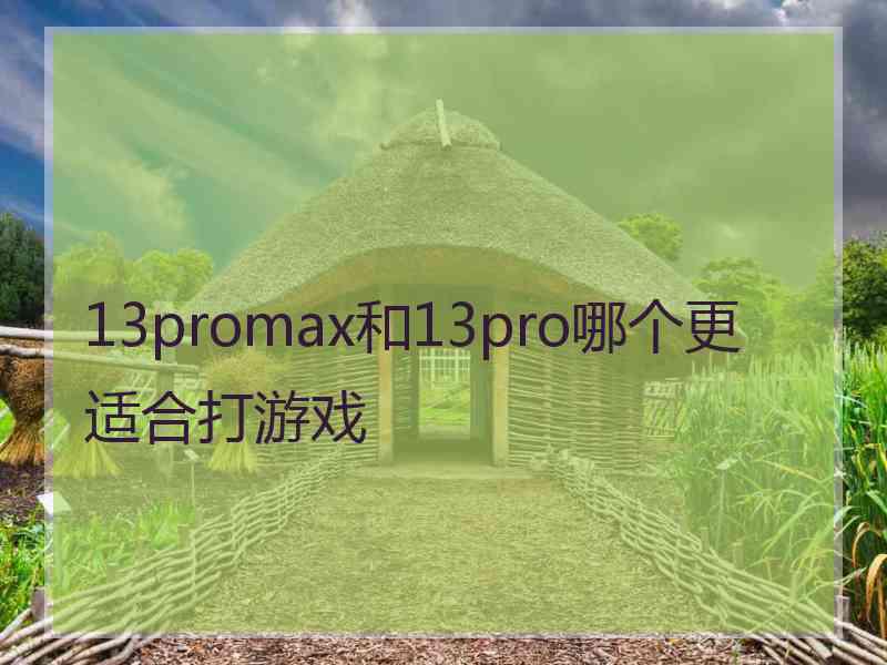 13promax和13pro哪个更适合打游戏