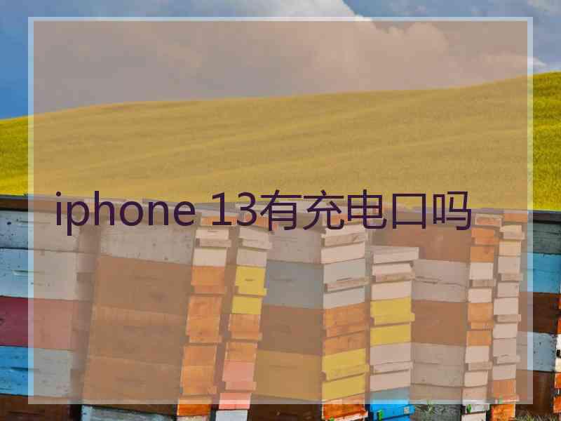 iphone 13有充电口吗