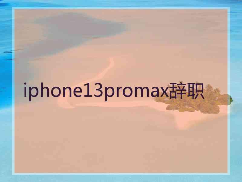 iphone13promax辞职