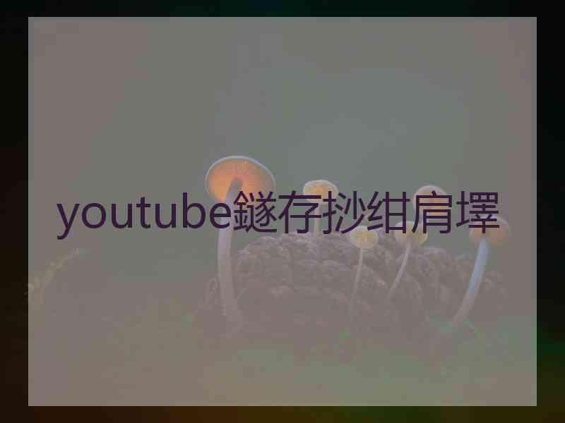 youtube鐩存挱绀肩墿