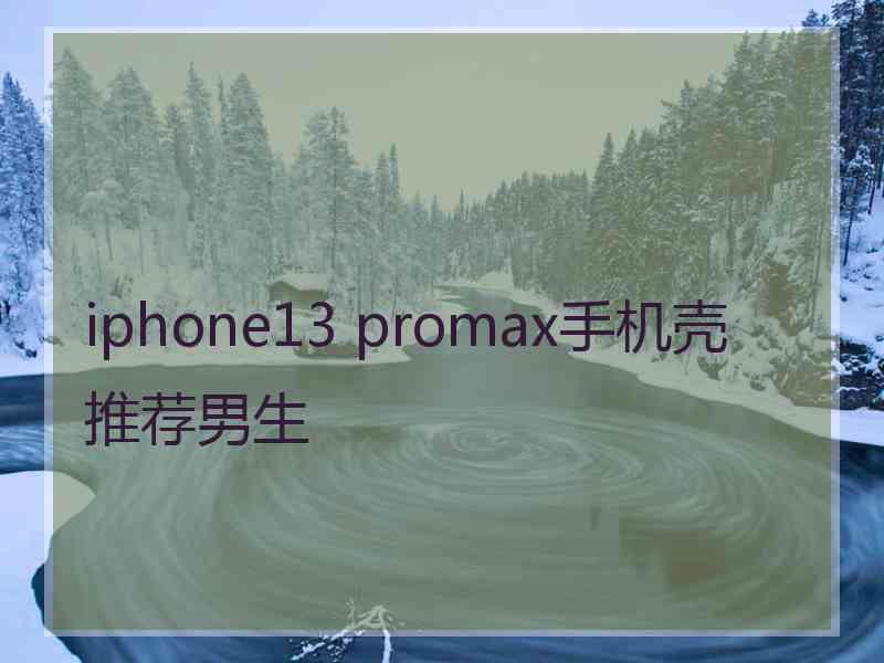 iphone13 promax手机壳推荐男生