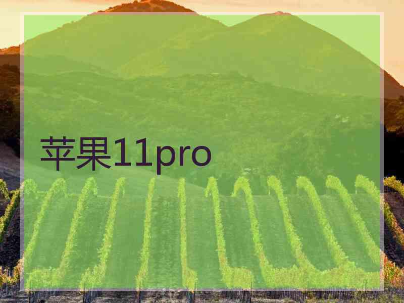 苹果11pro