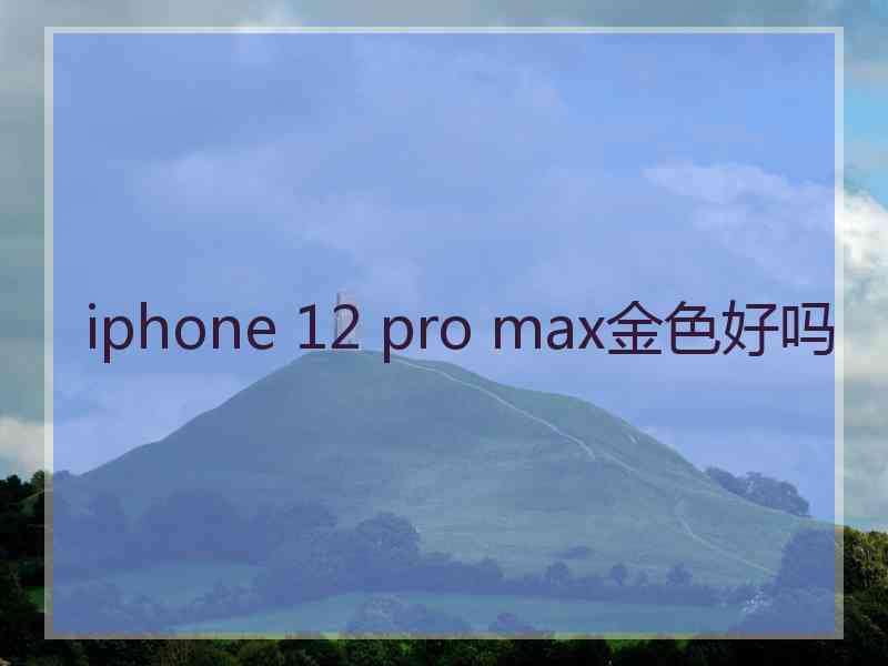 iphone 12 pro max金色好吗