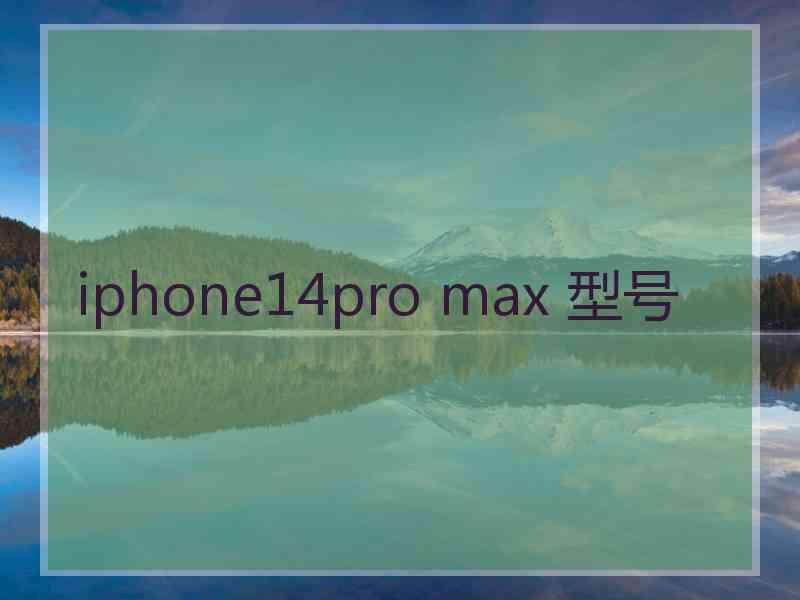 iphone14pro max 型号