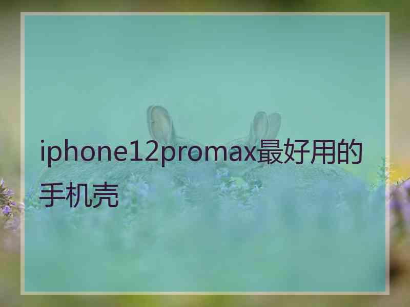 iphone12promax最好用的手机壳