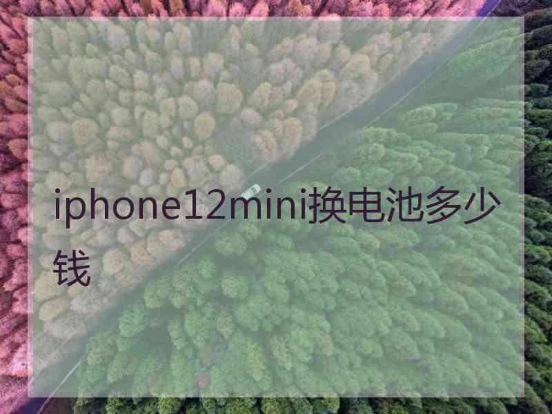 iphone12mini换电池多少钱