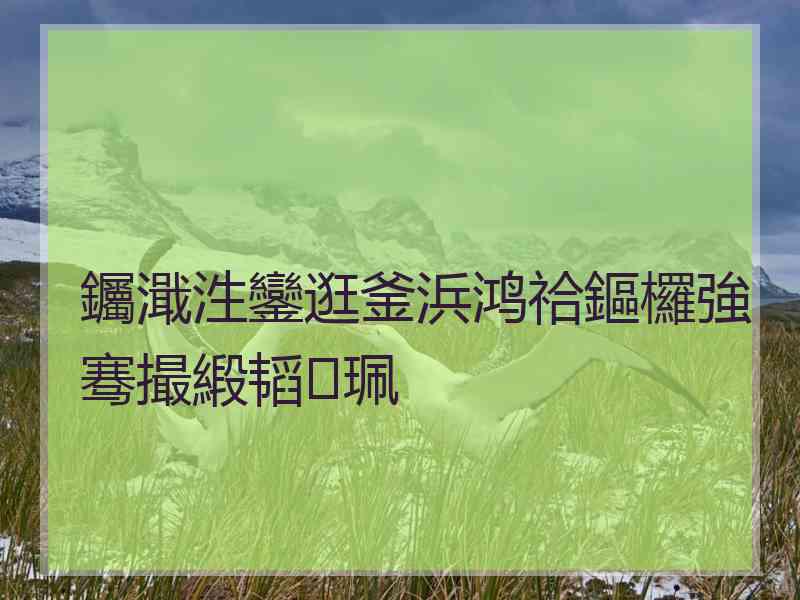 钃濈泩鑾逛釜浜鸿祫鏂欏強骞撮緞韬珮