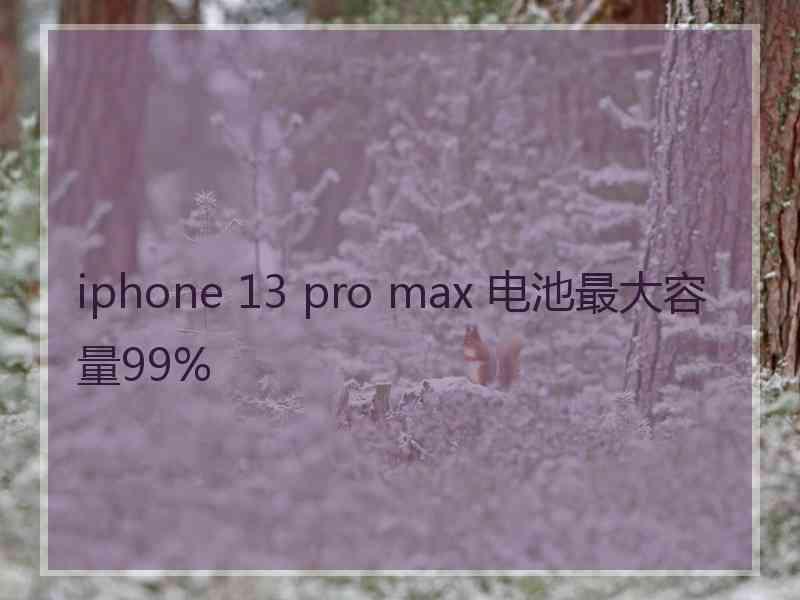 iphone 13 pro max 电池最大容量99%