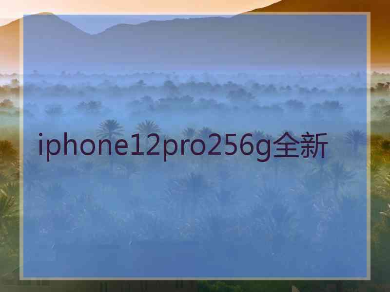 iphone12pro256g全新