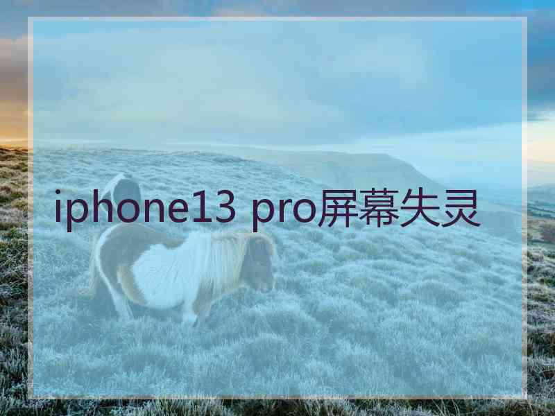 iphone13 pro屏幕失灵