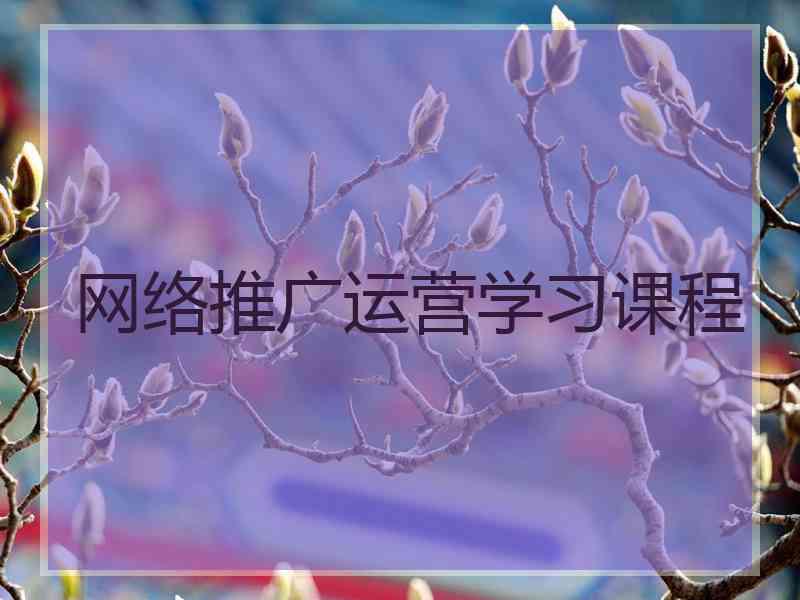 网络推广运营学习课程