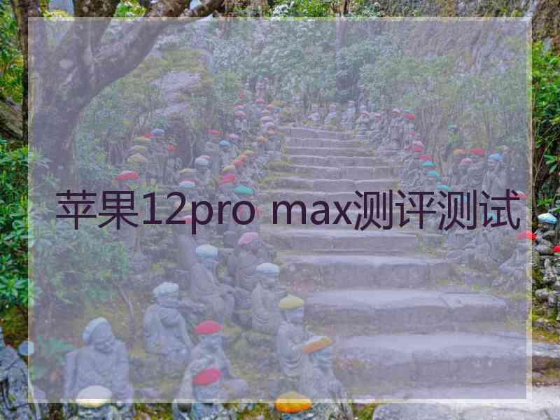 苹果12pro max测评测试