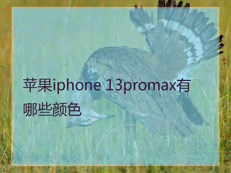 苹果iphone 13promax有哪些颜色