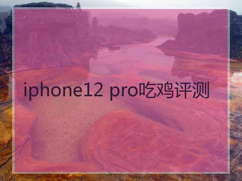 iphone12 pro吃鸡评测