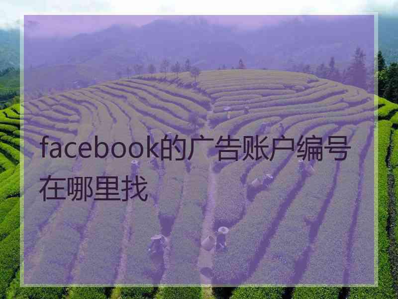 facebook的广告账户编号在哪里找