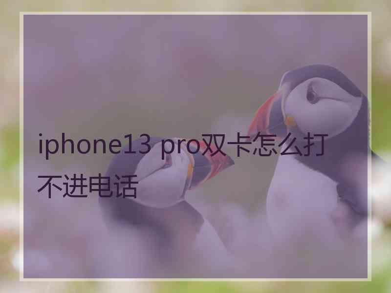 iphone13 pro双卡怎么打不进电话