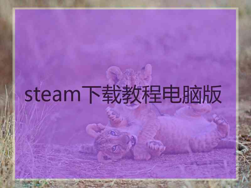 steam下载教程电脑版