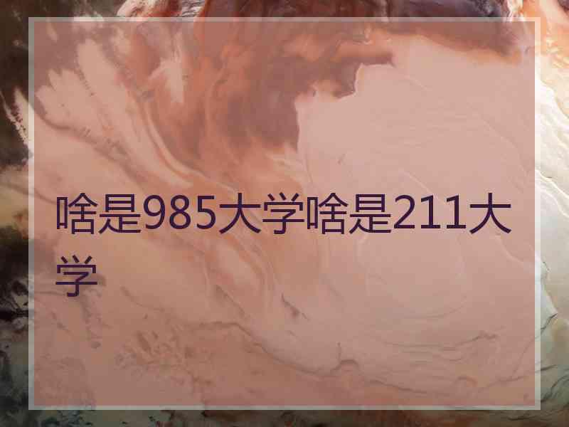 啥是985大学啥是211大学