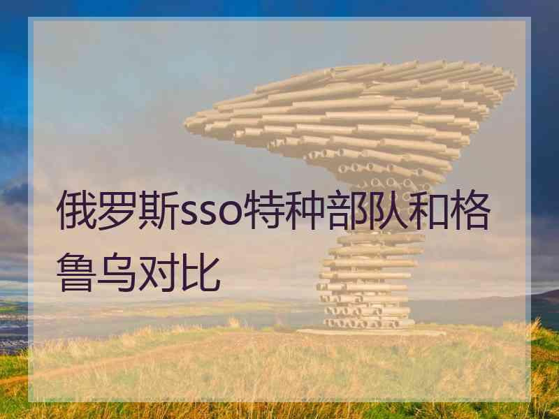 俄罗斯sso特种部队和格鲁乌对比