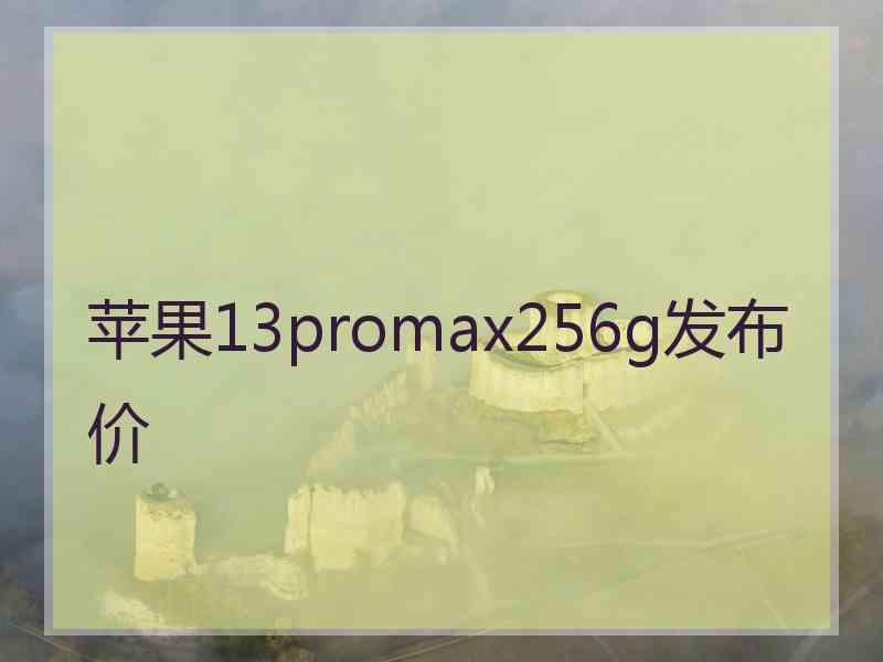 苹果13promax256g发布价