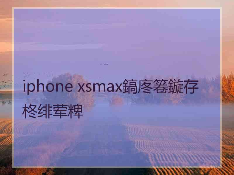 iphone xsmax鎬庝箞鏇存柊绯荤粺