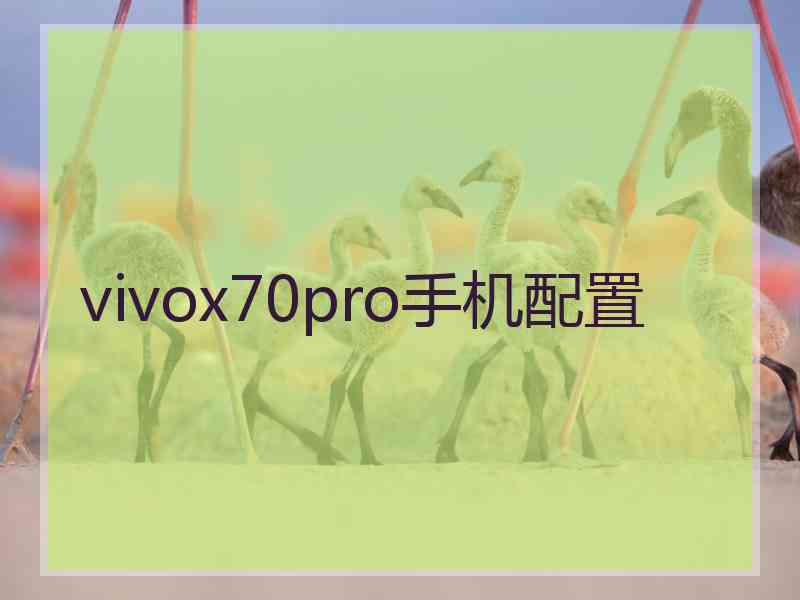 vivox70pro手机配置