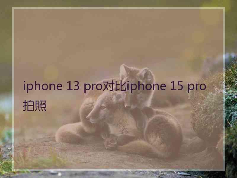 iphone 13 pro对比iphone 15 pro拍照