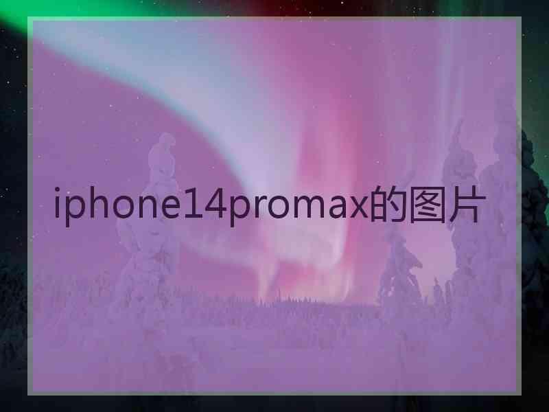 iphone14promax的图片