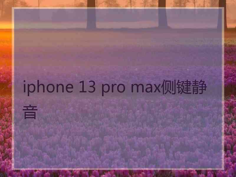 iphone 13 pro max侧键静音