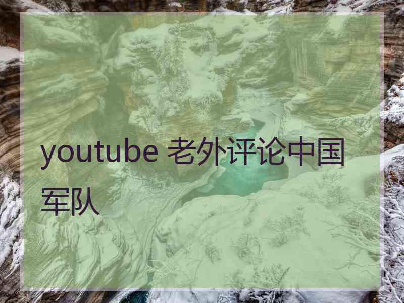 youtube 老外评论中国军队