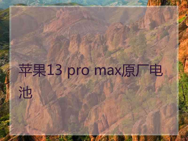 苹果13 pro max原厂电池