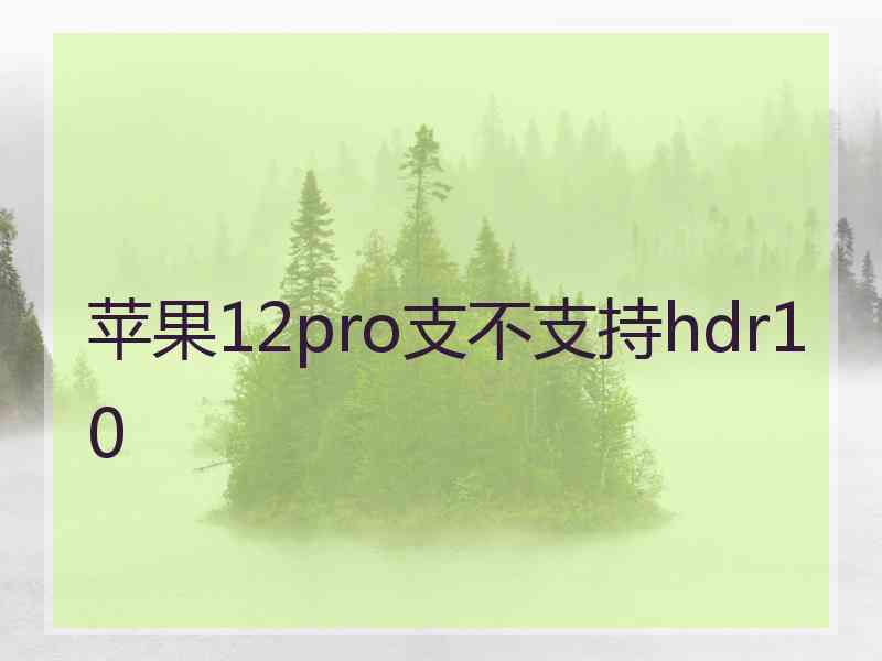 苹果12pro支不支持hdr10