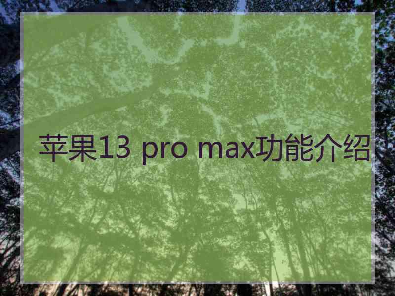 苹果13 pro max功能介绍