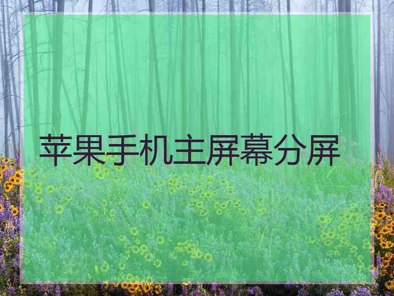 苹果手机主屏幕分屏